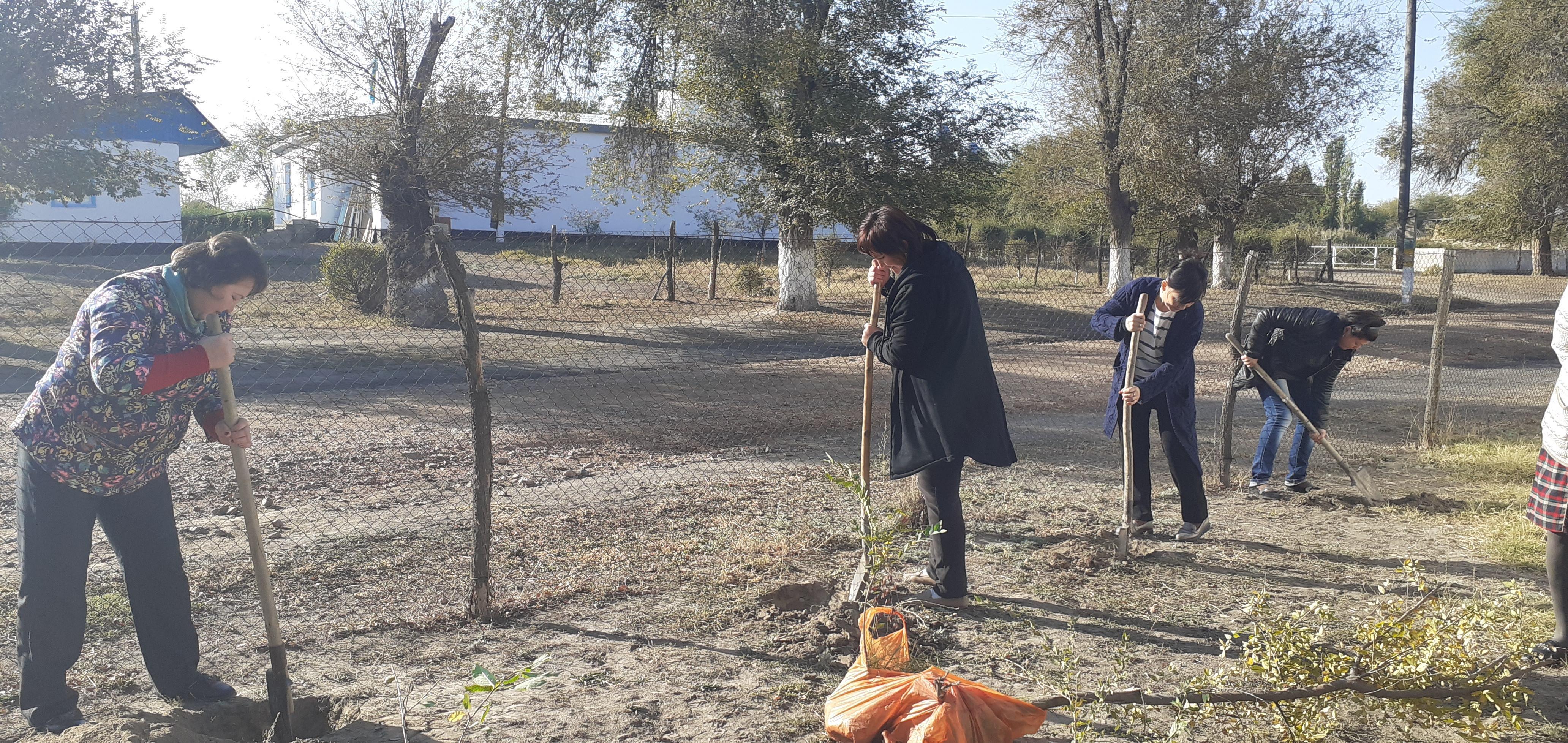 "Мектеп маңайына ағаш отырғызу"