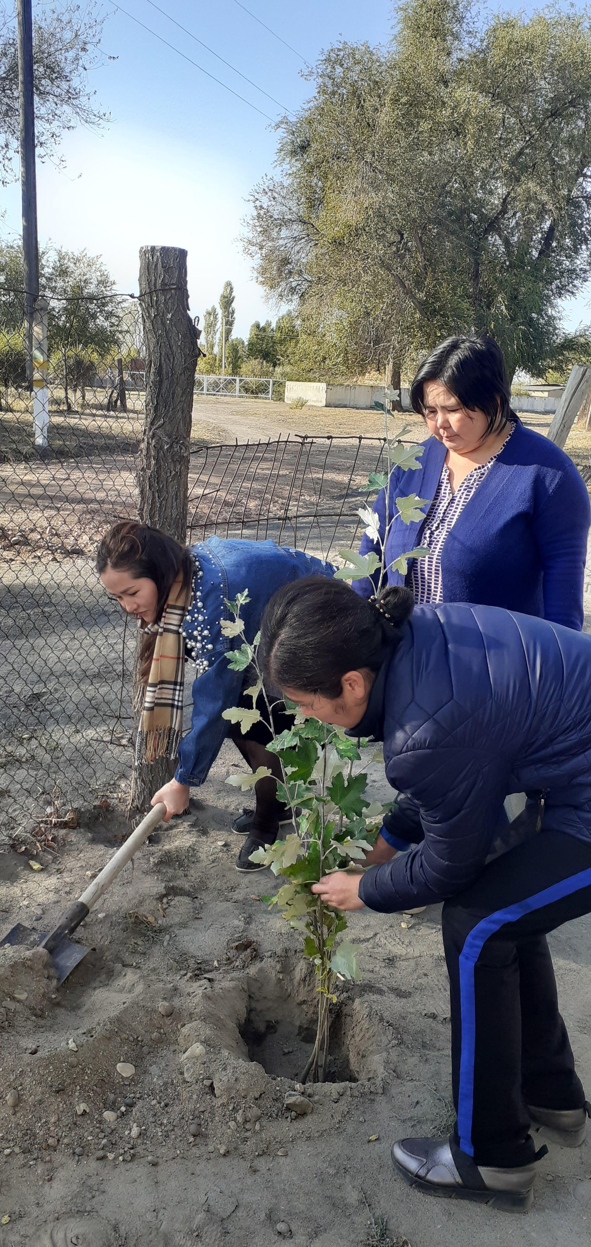 "Мектеп маңайына ағаш отырғызу"