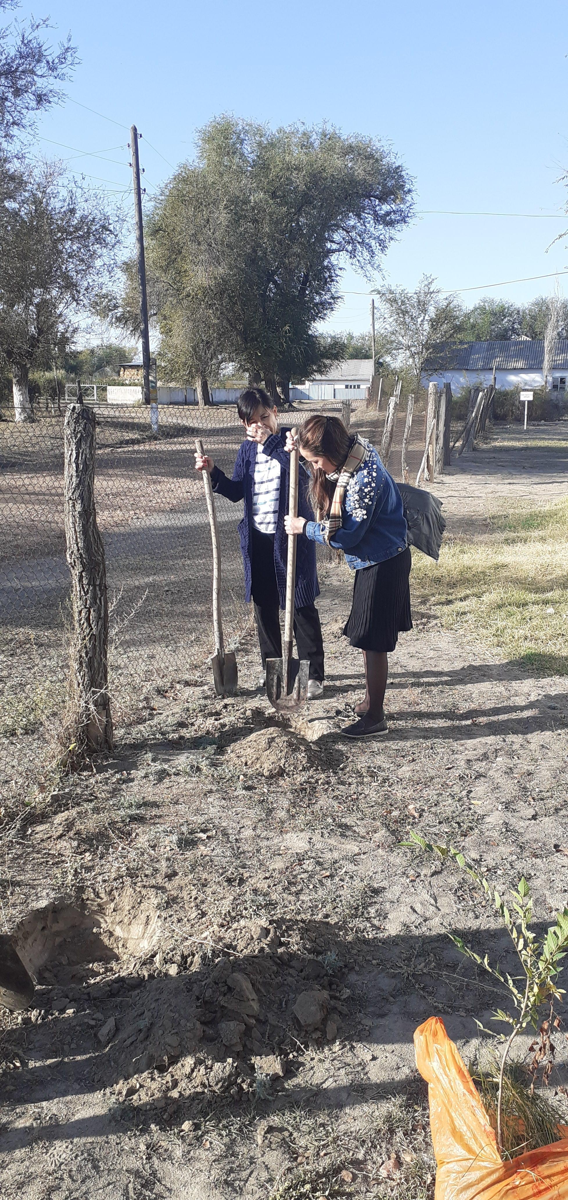 "Мектеп маңайына ағаш отырғызу"