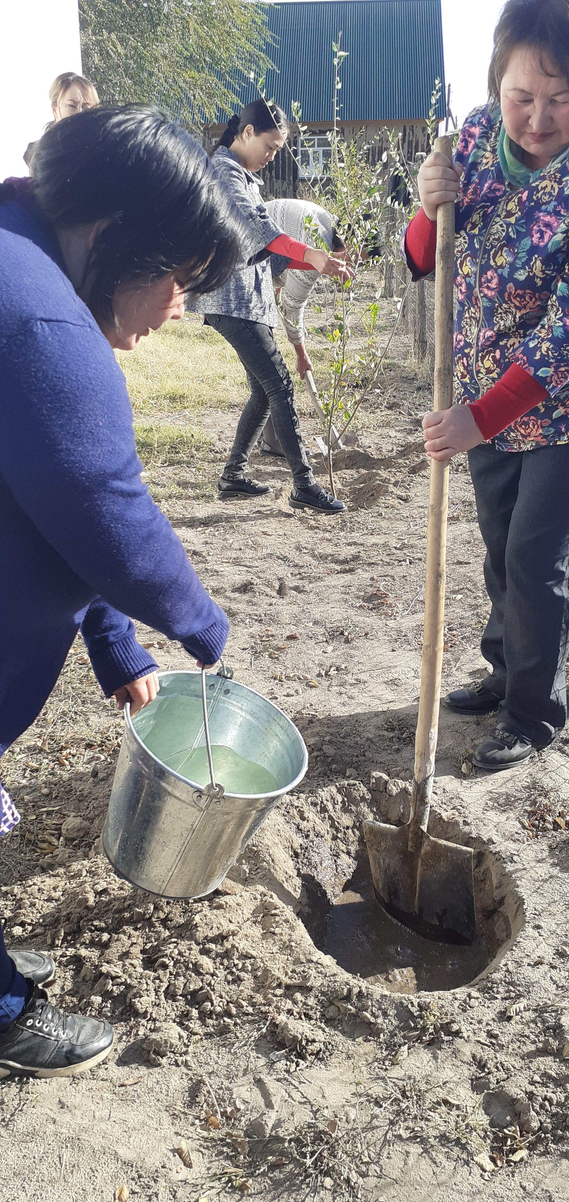 "Мектеп маңайына ағаш отырғызу"