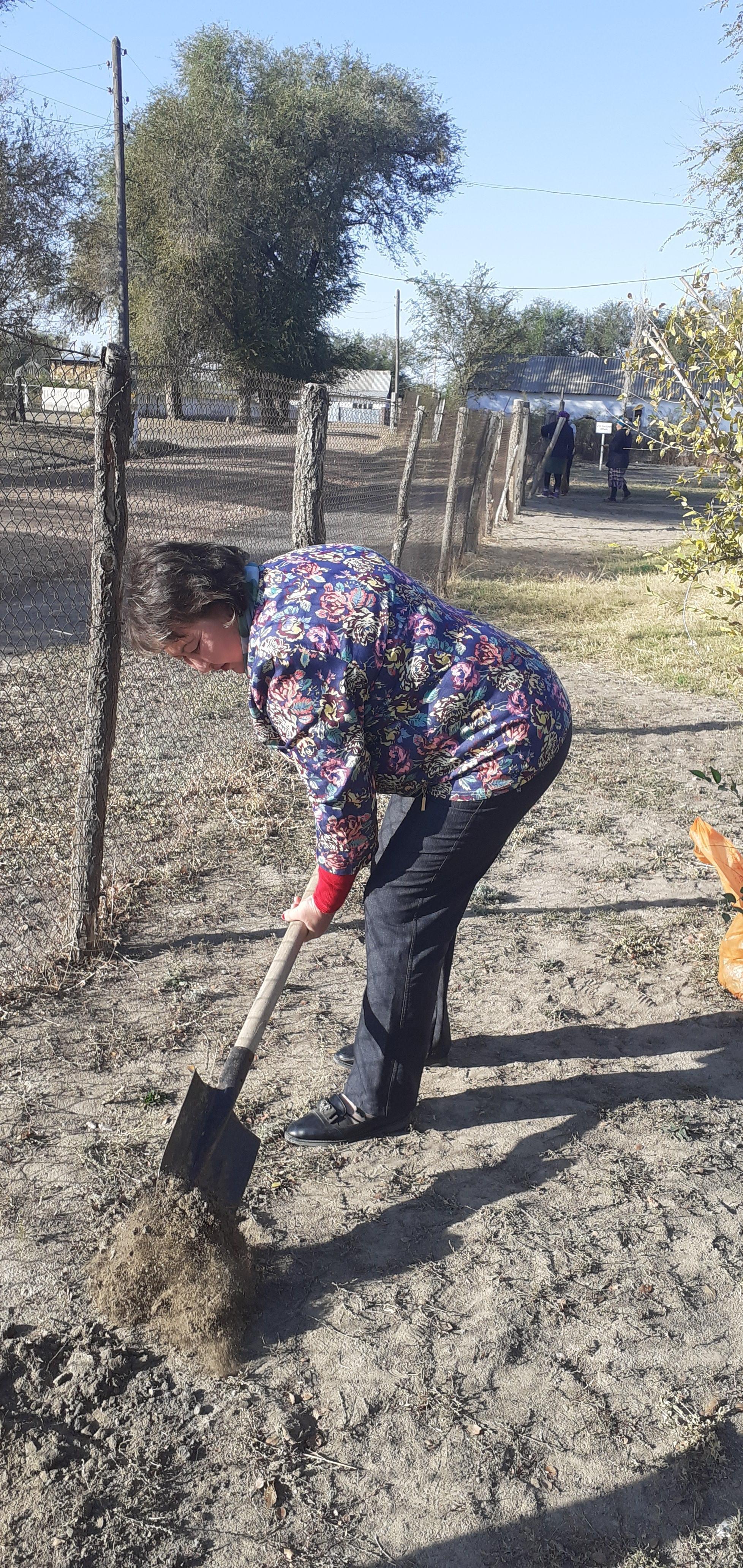 "Мектеп маңайына ағаш отырғызу"