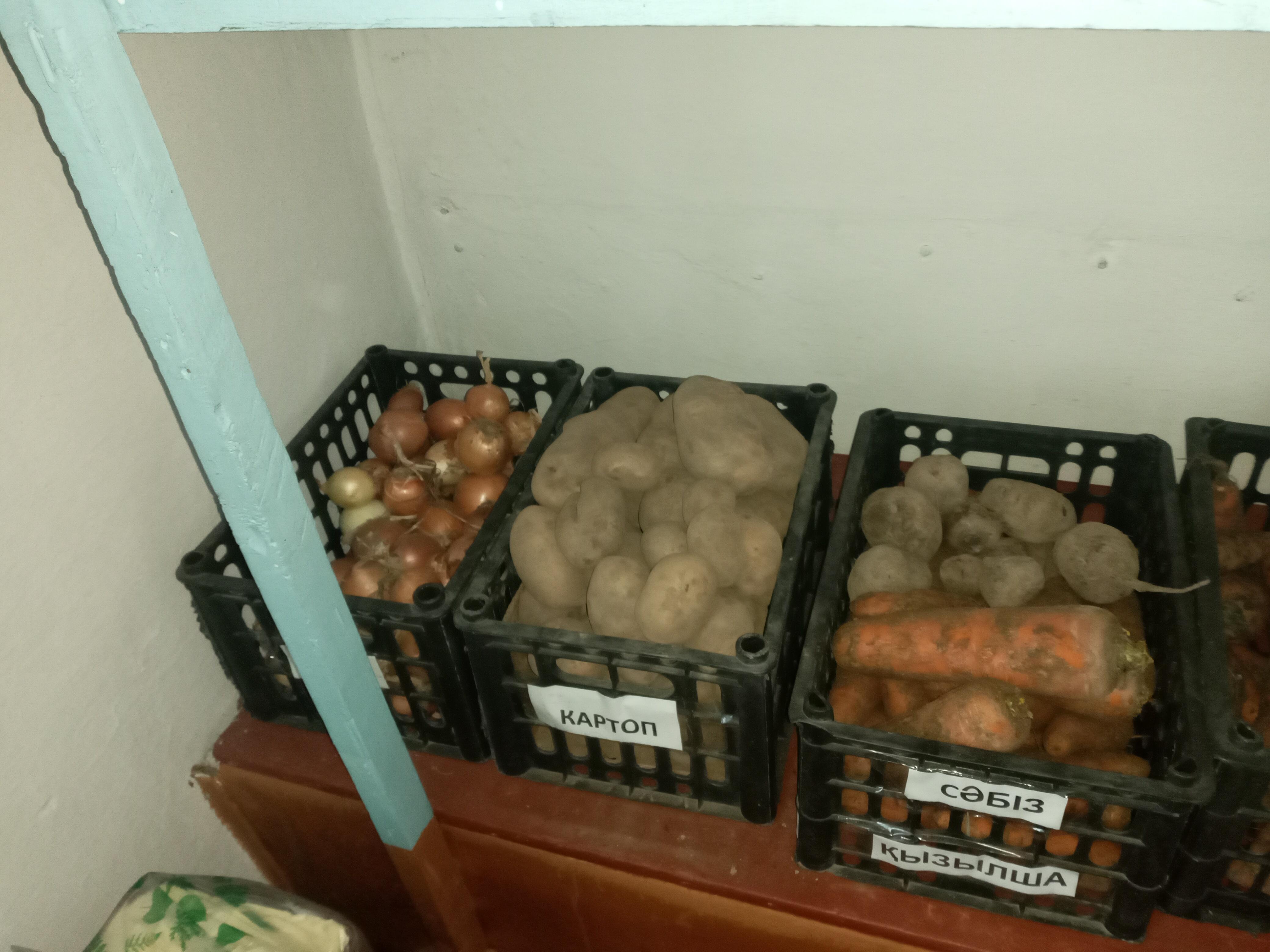 Тамақты дұрыс ұйымдастыру.